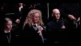Tchaikovsky - Swan Lake Oboe Solo