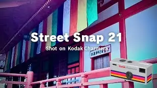 Street Snap 21 / Shot on Kodak Charmera / Photowalk in 成田山不動尊