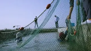 The Climate and Us: Could efficient fishing help sustain Egypt&rsquo;s growing population?