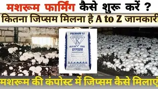 मशरूम कंपोस्ट में जिप्सम क्यों डालते हैं? | जिप्सम के फायदे और सही समय| A1 organic farming 