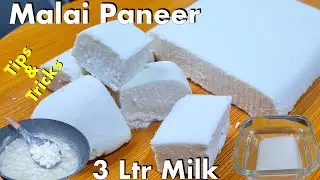 Soft & Creamy Malai Paneer Recipe | Homemade Paneer in 10 Minutes | How to Store Paneer at home
