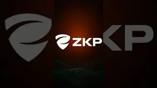Is ZKP&rsquo;s Daily Auction the Fairest Crypto Launch Ever?