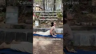 Child&rsquo;s Pose &rarr; Cobra Pose  #shorts