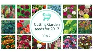 Seeds for my cutting garden 2017
