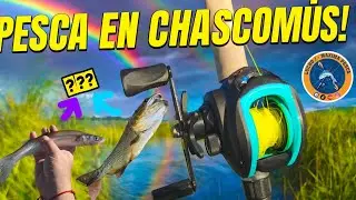 CHASCOMUS, TARDE DE PESCA Y LUEGO ARROYO 🎣🎣🎣🎣🎣