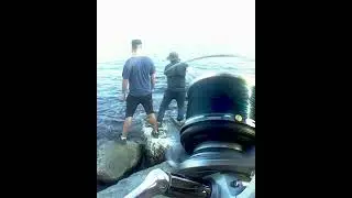ANJOVA de 5KG al VIVO 🎣
