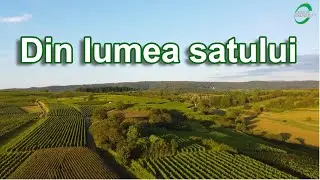 Emisiunea 