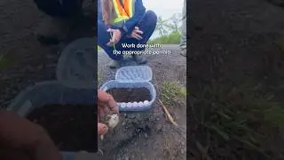 How We Incubate Turtle Eggs! 🐢🥚