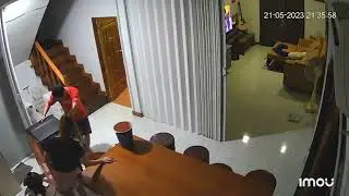 Cat attacks delivery guy