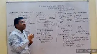 MYCOPHENOLATE MOFETIL(MFA)