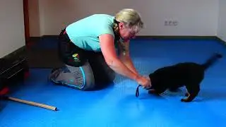 Spielen unter Belastung - Frau Orange 7 Wochen