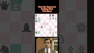 Brilliant Chess Moves (161)