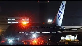 ✈✈[RJAA]成田空港 早く通常運航に戻って欲しいフライングホヌ!!ウミガメ塗装機  FLYING HONU全日空 A380JA381A Narita RWY16R