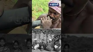 ஆதியும் அந்தமும் இல்லாதது இசை! | Tribe Music - Samugam