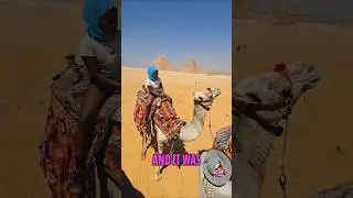 Camel Ride in Egypt: My First Time Experience! #shorts
