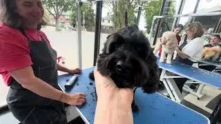 GroomArts Taster Day