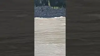 dangerous swimming at Indus river. #goingviral   #ladakh #swimm#indusriver