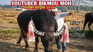 ইউটিউবাৰ বিকমৌ মহ ভূৰ্বন্ধা মহযুঁজত ||  YOUTUBER BIKMOU MOH #mohjuj #agf #Bikmou_Blog 