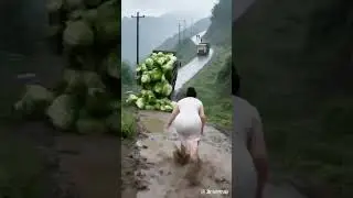 Curiosity, never expected, rare, absurd video