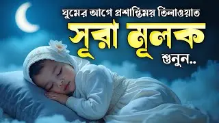 ফজিলতপূর্ণ আমল গভীর ঘুমের জন্য শুনুন সূরা মূলক এর তিলাওয়াত | Beautiful Surah Mulk \By Shamsul Haque