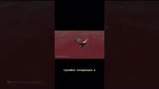 ОЗЕРО-УБИЙЦА #ВЫЗНАЛИЧТО #интересныефакты #shorts #Натрон #shortsvideo