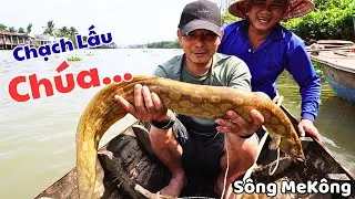 Lần Đầu Tiên Trong Đời Mới Thấy Con Cá Chạch KHỦNG Nhủ Vậy | Dân Lục Tỉnh