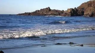 Fogarty Creek Beach