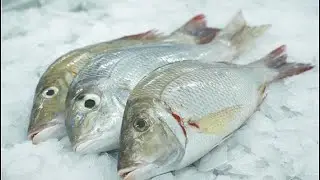 #squid cutting in my home