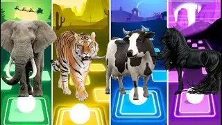Funny Elephant 🆚 Funny Tiger 🆚 Funny Cow 🆚 Funny Horse – Coffin Dance | Tiles Hop EDM Rush
