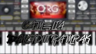 CAMELIA LAGU VIRAL TIKTOK DANGDUT RAMPAK SET ORG 2024 #camelia