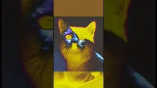 rgbt