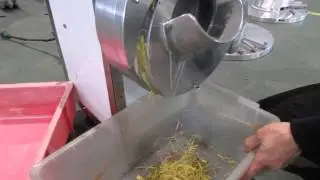 IKSP-821 Ginger Cutting Machine