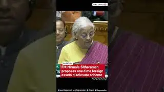 FM Nirmala Sitharaman proposes one-time Foreign Assets disclosure scheme