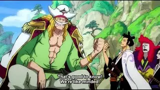 OP   Whitebeard FistBumps Kinnemon, Refuses to let Oden join his Crew