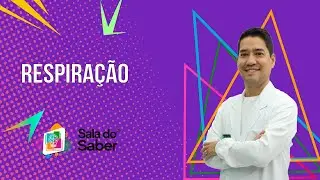 Fisiologia Animal - Respiração | Sala do Saber