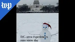 D.C. area experiences rare snow day
