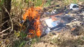 preserving habitats