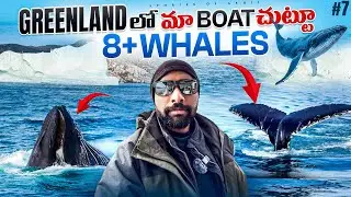 Mesmerizing Humpback Whale🐋 Safari in Ilulissat, Greenland 🇬🇱 | Stories of Akhil | తెలుగు లో