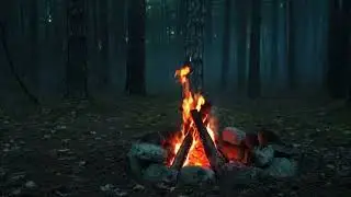 Quiet Campfire in a Forest Clearing at Night | 3 Hours