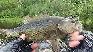 Bass fishing tournament Boston Lot Lake