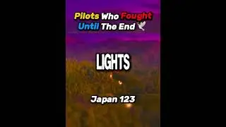 Pilots Who Fought Until The End.🥺🕊️ | #avgeekoftheweek #aviation 