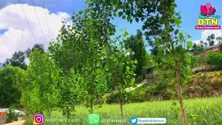 Darora |Dir upper | Dir Darora Khyber pakhtunkhwa pakistan by Shakil Anjum
