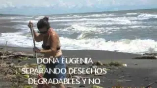 PACUARE BEACH ECOLOGY PROJECT II
