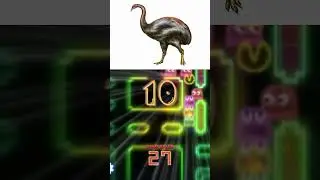 animals that are extinct💀