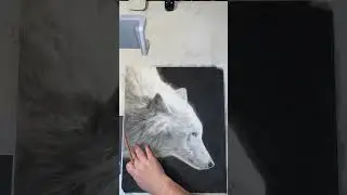 White Wolf end stage