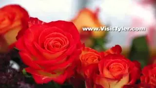 Tyler Chamber of Commerce - Rose Season Radio Commercial