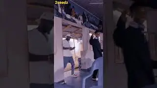 2seedz life  performance