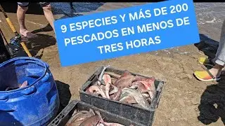 LLEGADA DE EMBARCACION CON PESCA INCREIBLE DE EN SANTA CLARA DEL MAR