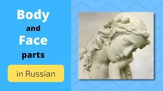 Body and Face parts in Russian: Visual Dictionary