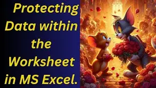 Protecting Data within the WorkSheet in MS Excel.